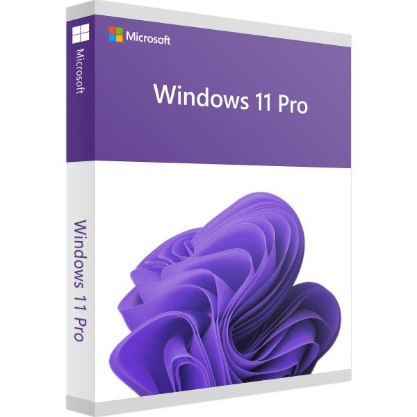 Windows 11 Pro - OEM