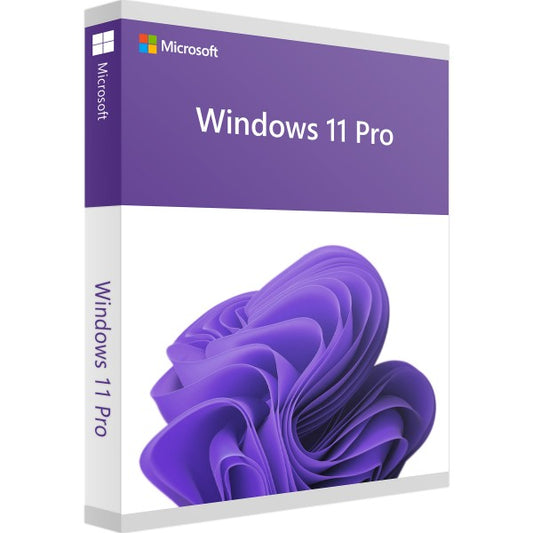 Windows 11 Pro - OEM