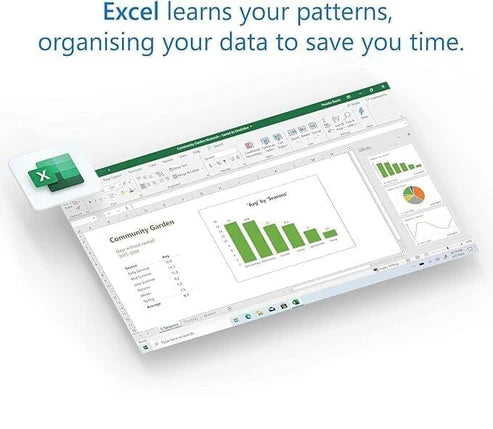 Microsoft Office 2024 Professional Plus
